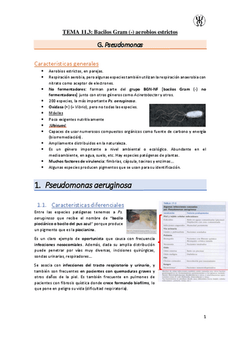 T11.3Bacilos-Gram---aerobios-estrictos.pdf