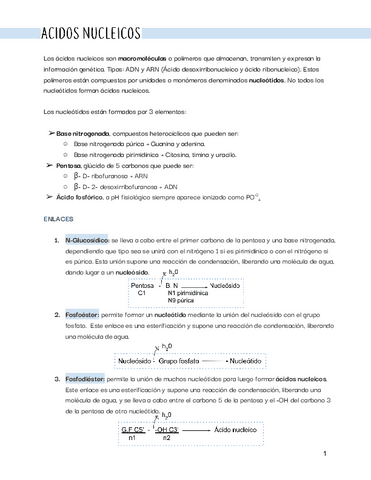 BIO-TEMA-5-6-7-y-8.pdf