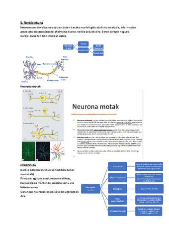 4.-Nerbio-ehuna.pdf