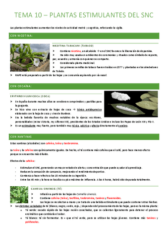 TEMA-10-Plantas-estimulantes-del-SNC.pdf
