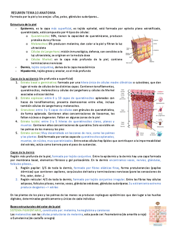 RESUMEN-TEMA-10-ANATOMIA.pdf