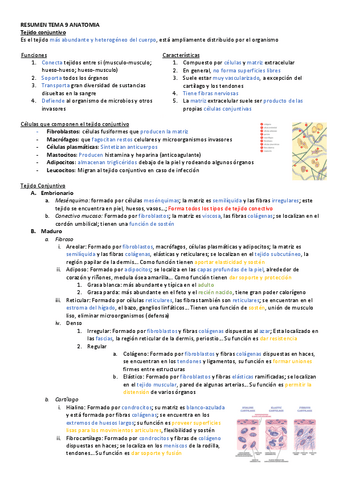 RESUMEN-TEMA-9-ANATOMIA.pdf