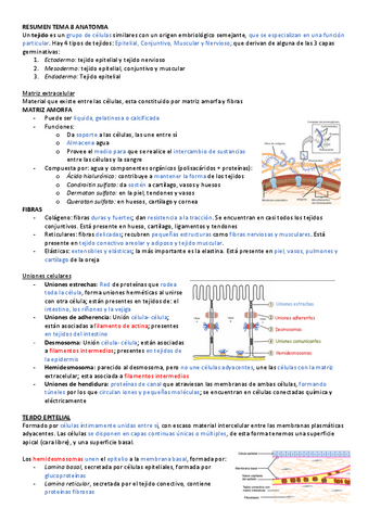 RESUMEN-TEMA-8-ANATOMIA.pdf