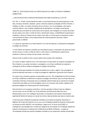 Tema 13.pdf