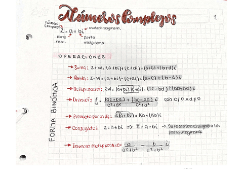 TEORIA-NUMEROS-COMPLEJOS.pdf