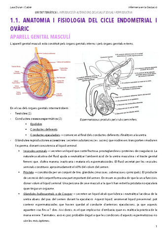 1.1.Anatomiaifisiologia.pdf