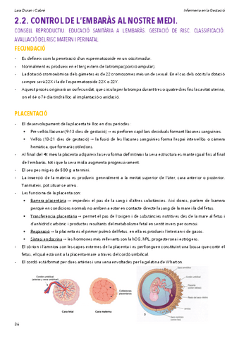 2.2.Controlembaras.pdf