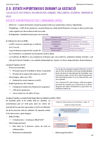 2.5.Estatshipertensiusgestacio.pdf