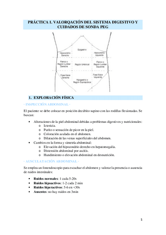 Practica-1.pdf
