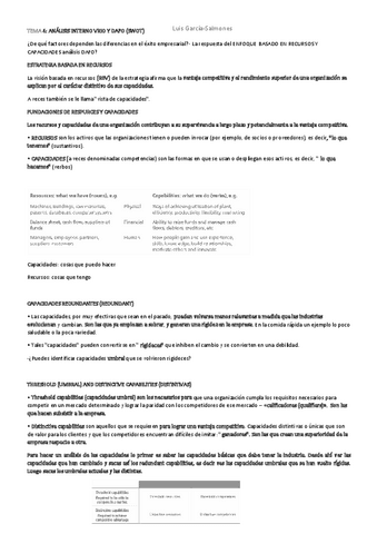 TEMA-4-Analis-internoi.pdf