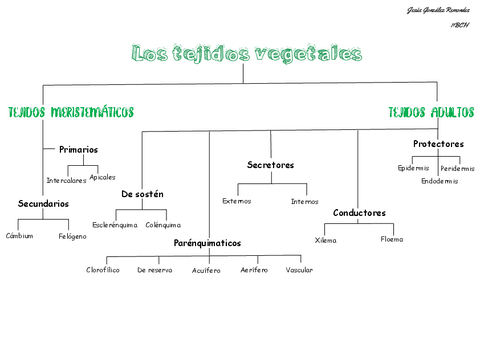 Esq-tejidos-vegetales.pdf