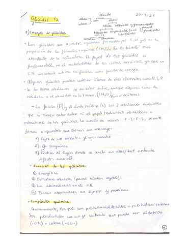 Tema-2-apuntes-Glucidos..pdf