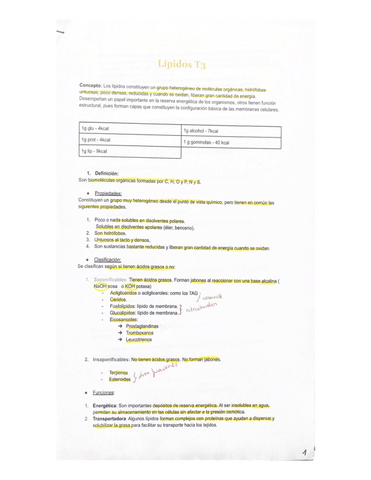 Tema-3-apuntes-Lipidos.pdf