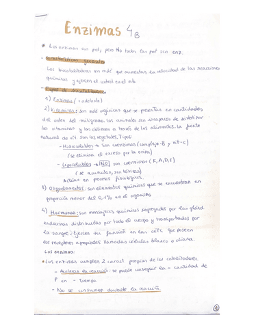 Tema-4b-apuntes-Enzimas.pdf