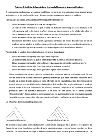 Practica-2-Analisis-de-palabras..pdf