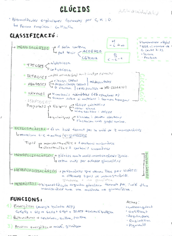 glucids.pdf