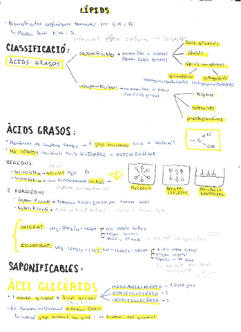 lipids.pdf