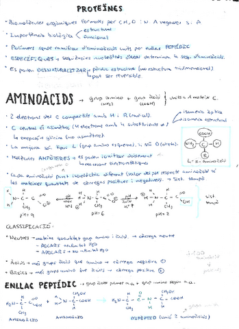 proteines.pdf