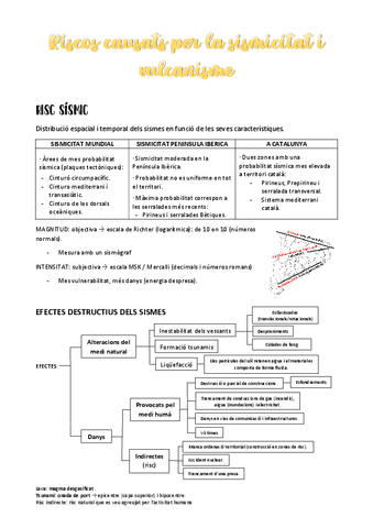 Riscos-causats-per-la-sismicitat-i-vulcanisme.pdf