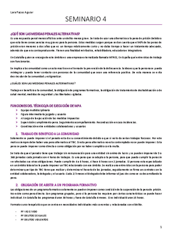 Seminari-4.pdf