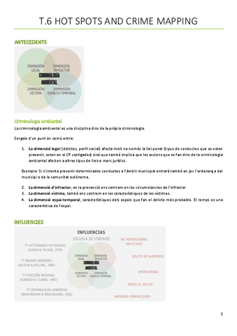 T6.-Hot-spots-and-crime-mapping.pdf