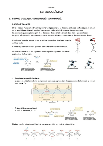 estereoquimica-T.11.pdf
