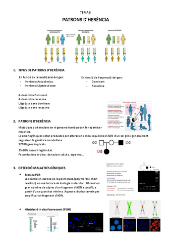 patrons-dherencia-T.6.pdf