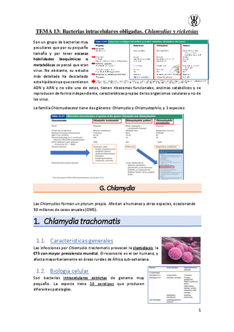 T13Bacterias-intracelulares-obligadas.-Chlamydias-y-ricketsias.pdf