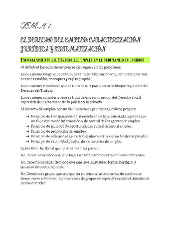 Tema-1-derecho-del-empleo.pdf