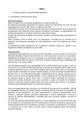 TEMA 1.pdf