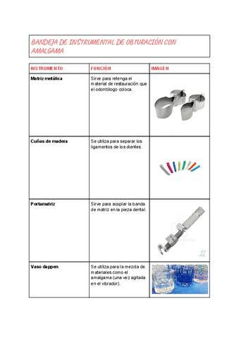 INSTRUMENTAL-DENTAL-6.pdf