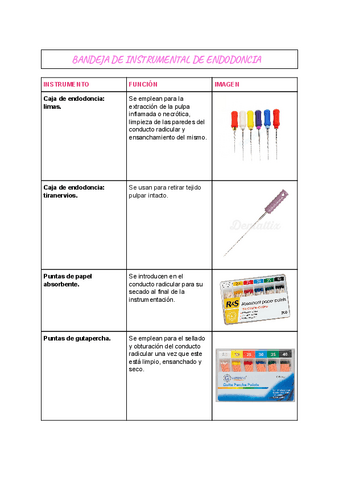 INSTRUMENTAL-DENTAL-8.pdf