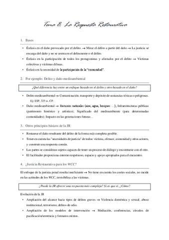 TEMA-8.pdf