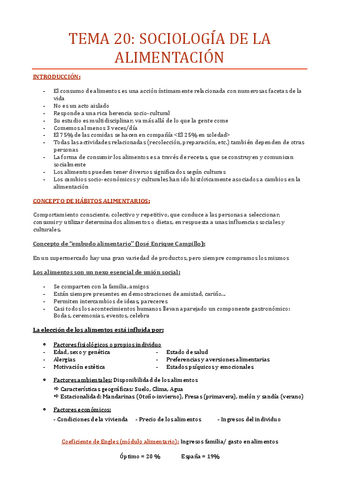 TEMA-20.pdf