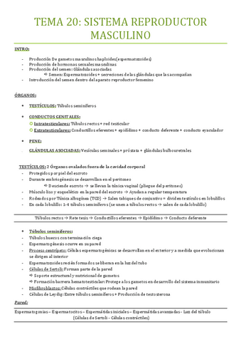 TEMA-21-APARATO-REPRODUCTOR-MASCULINO.pdf
