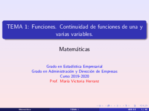 Tema-1Funciones.pdf