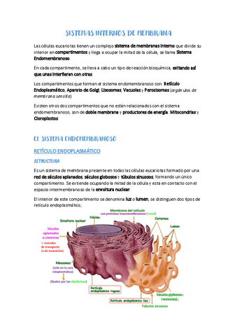 SISTEMAS-INTERNOS-DE-MEMBRANA.pdf
