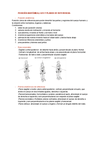 POSICION-ANATOMICA-EJES-Y-PLANOS-DE-REFERENCIA-1.pdf