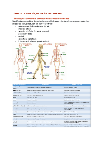 TERMINOS-DE-POSICION-DIRECCION-Y-MOVIMIENTO-1.pdf