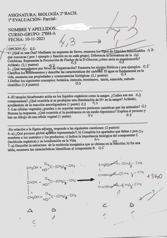 Examen1.pdf