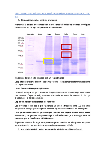 Electroforesis-SDSpage.pdf