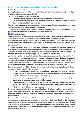Estructura-Social.pdf