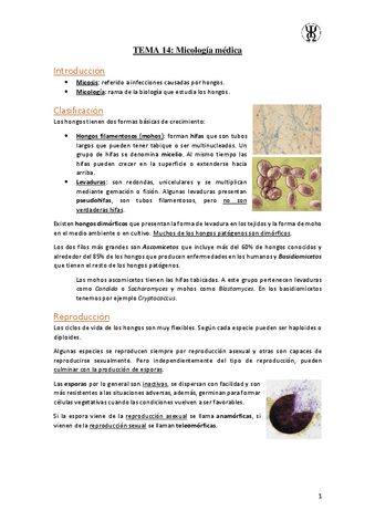 T14Micologia-medica.pdf