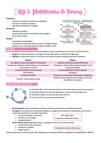 UD-5-FG.pdf