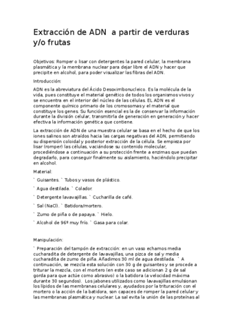 respuestas-1.pdf