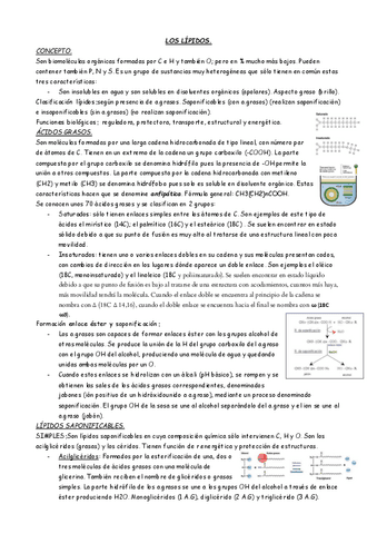 BLOQUE-1-TEMA-3-LIPIDOS..pdf