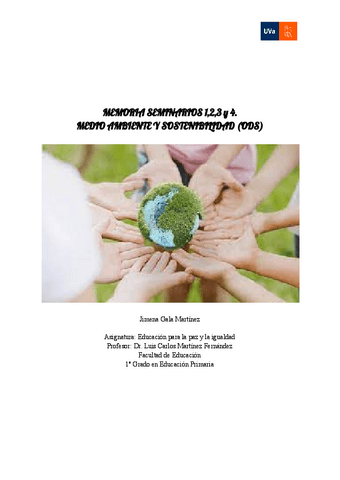 MEMORIA-SEMINARIOS-123y4 (MATRÍCULA DE HONOR).pdf