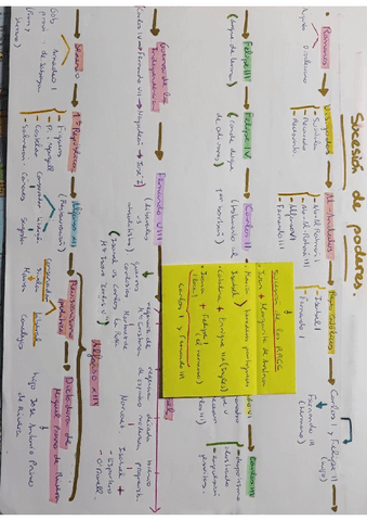 SUCESION-PODERES-HISTORIA.pdf