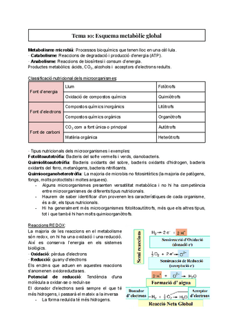 Tema-10-Esquema-metabolic-global.pdf