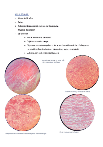 P.1.-Microscopio.pdf